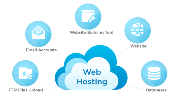 Web Hosting vs WordPress Hosting