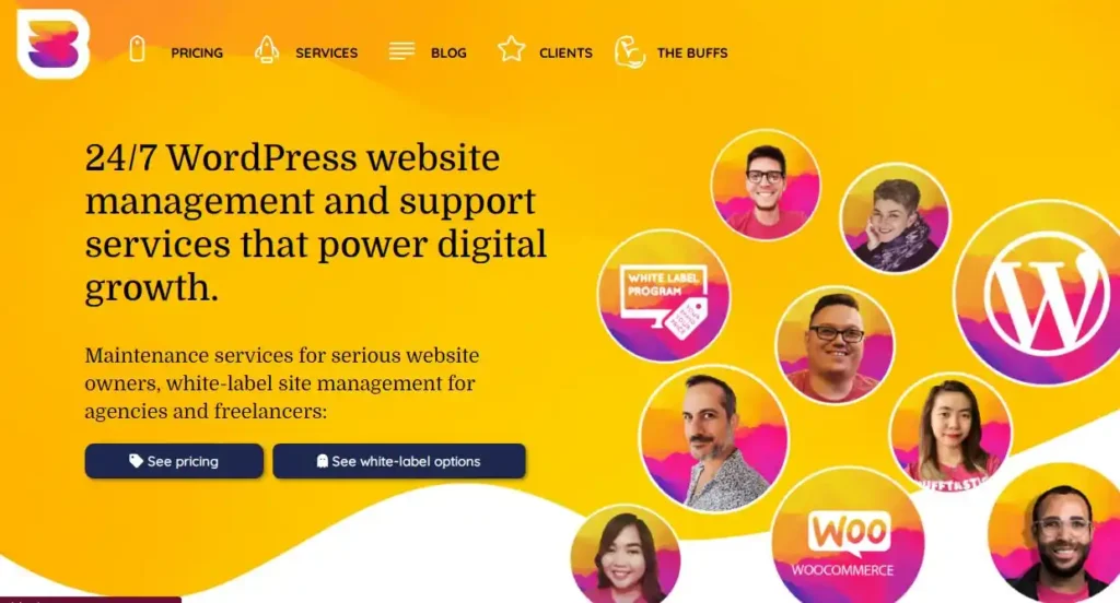 WordPress website maintenance