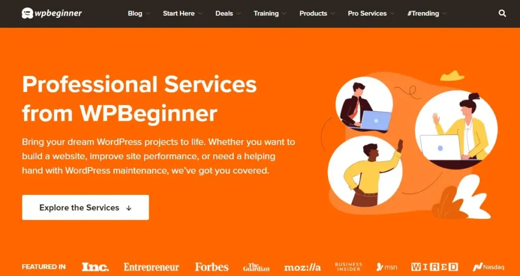 WP Beginner Pro Services