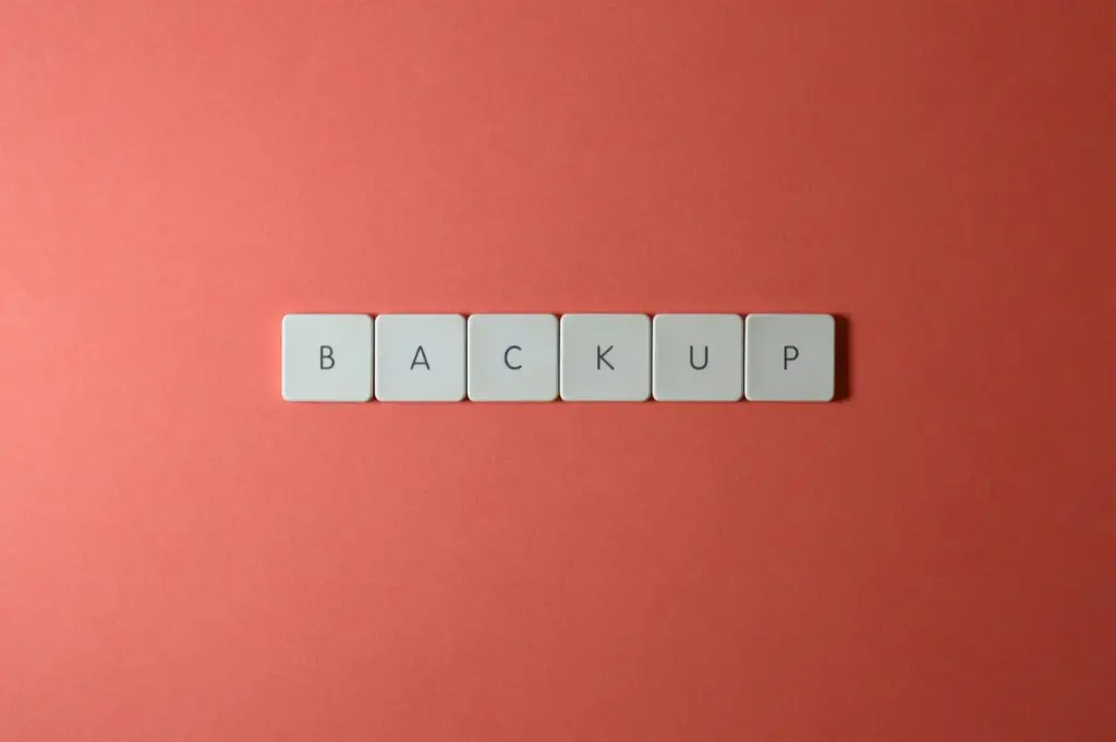 Backup your Website Data