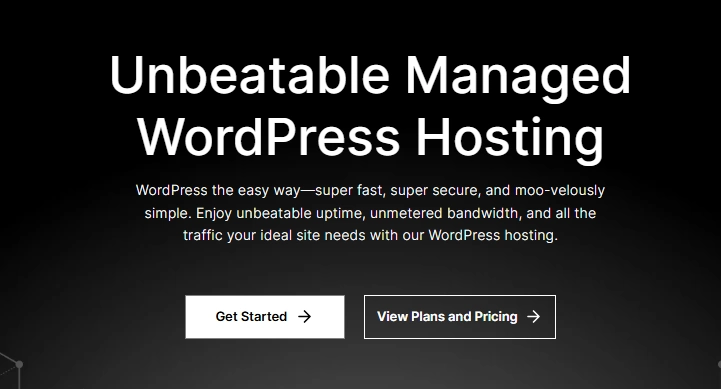 Boost WordPress Speed with FastCow