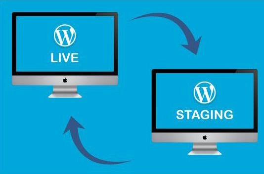 One-Click Staging Sites & Local Environments